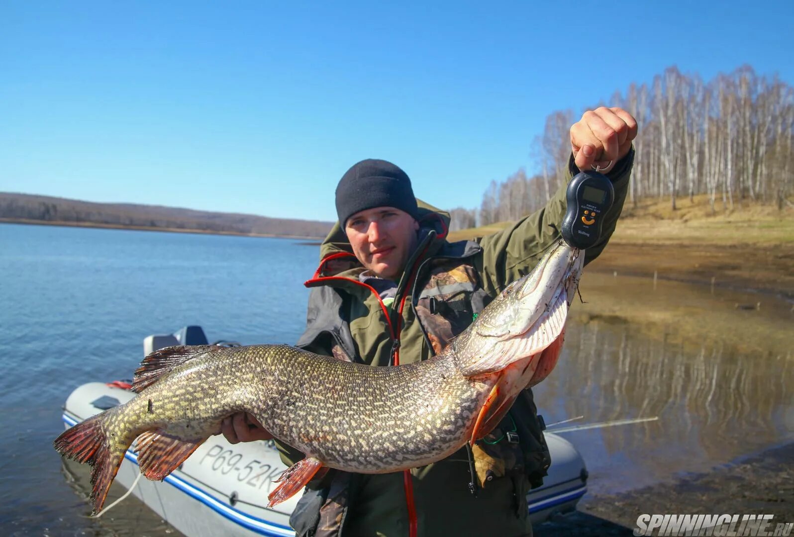 Щука красноярск. Сазан на Красноярском водохранилище. Красноярское море рыба. Сазан Красноярское море. Рыбак Красноярск.