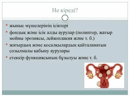 Анамның лас мысығын жалап