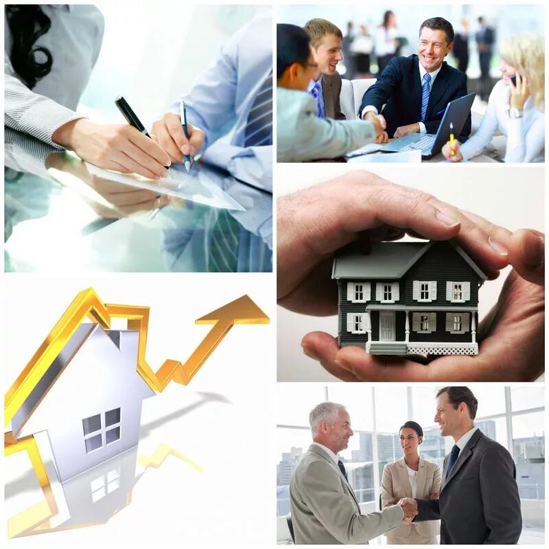 Управления имущества продажа. Управление недвижимостью. Управление недвижимым имуществом. Управление объектами недвижимости. Доверительное управление.