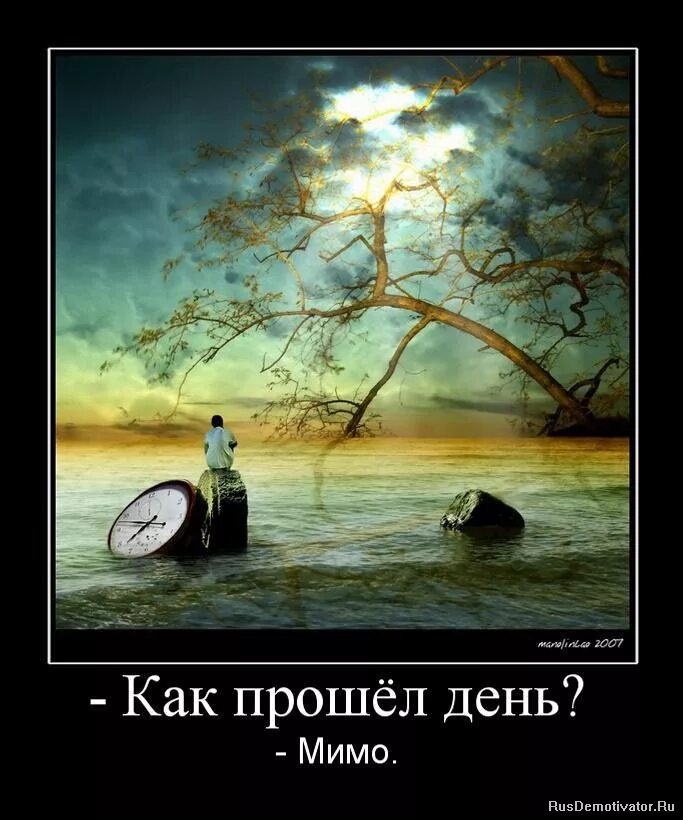 В тени человека. Жизнь летит мимо. Жизнь летит мимо. Время летит. Жизнь проходит мимо.
