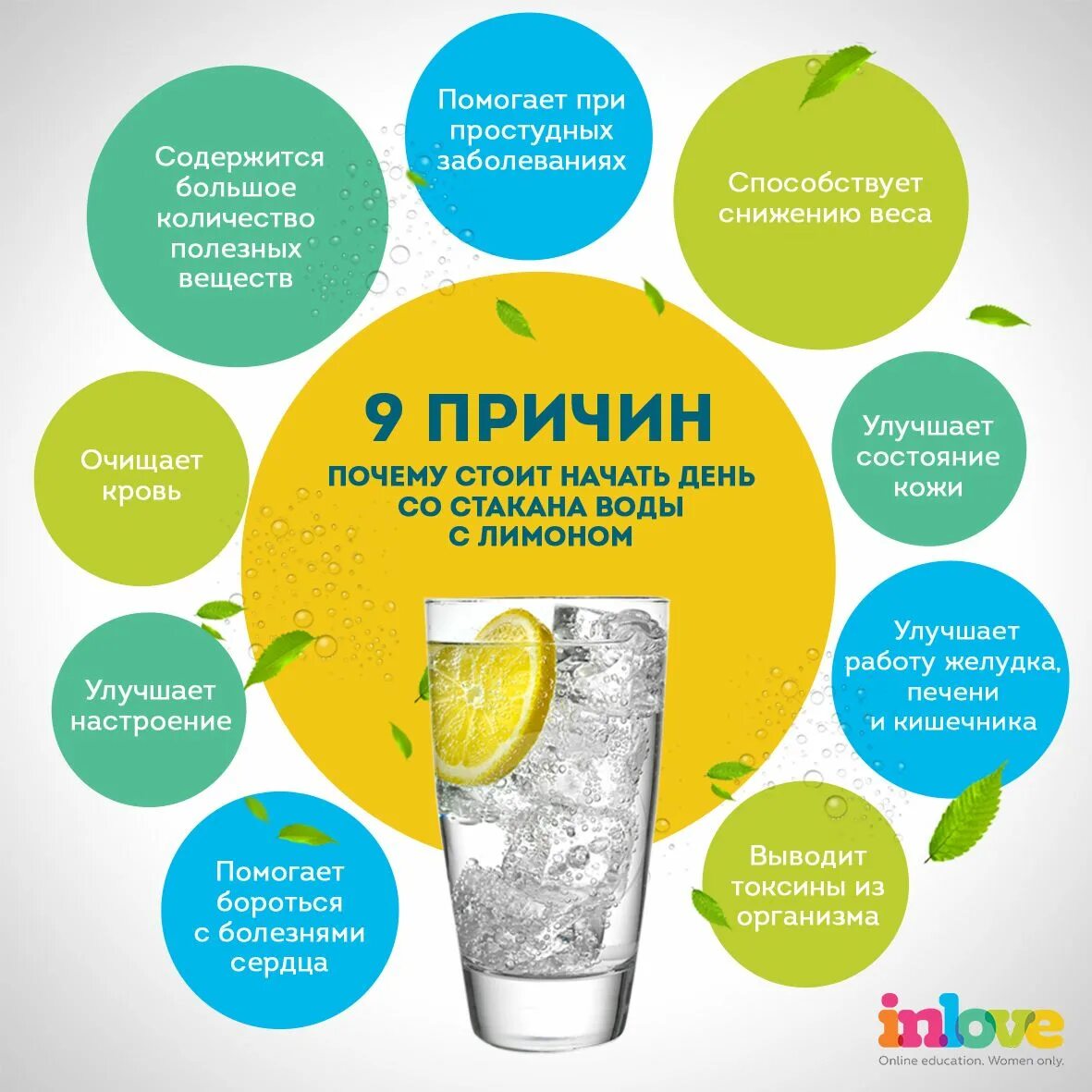Полезные проекты для жизни Полезные проекты для жизни