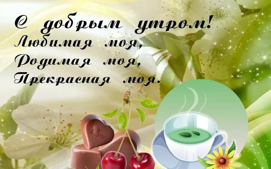 Прекрасные пожелания с добрым утром любимой. Доброе утро любимая. с добрвмиутром любимая. открытки с добрым утром любимая. открытка доброе утро любимая.