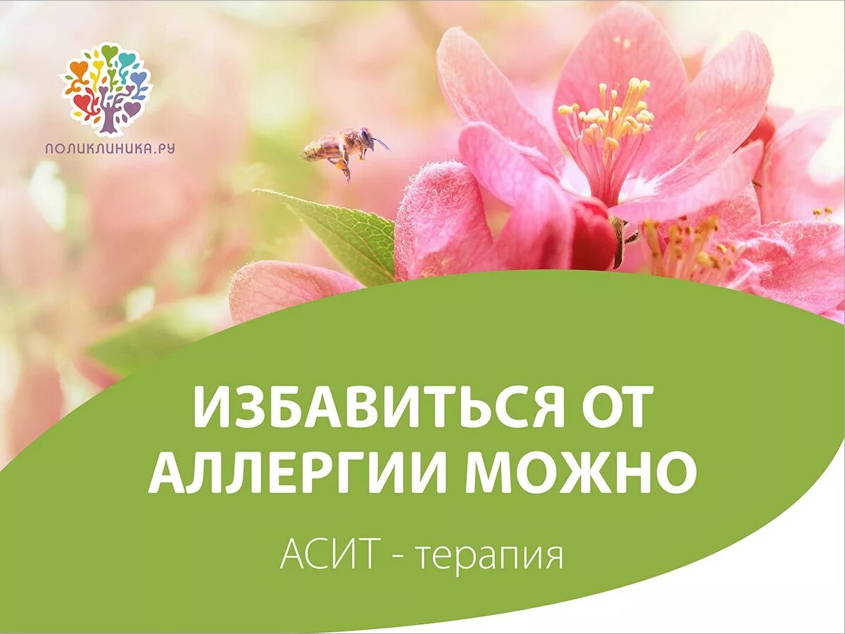 Весна без аллергии. Избавление от аллергии. Избавься от аллергии
