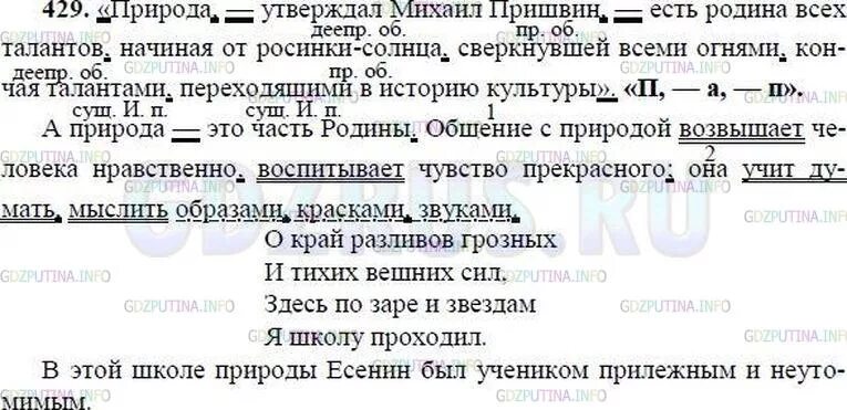 Пунктуационные правила родина подсолнечника. Русский язык 8 класс Тростенцова ладыженская. Природа есть Родина всех Талан ОА. Упражнение 429 по русскому 8 класса. Природа есть Родина всех талантов.