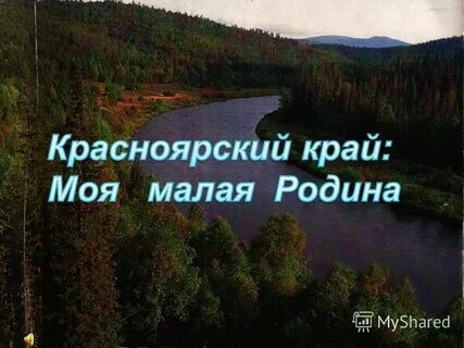 Скажи край