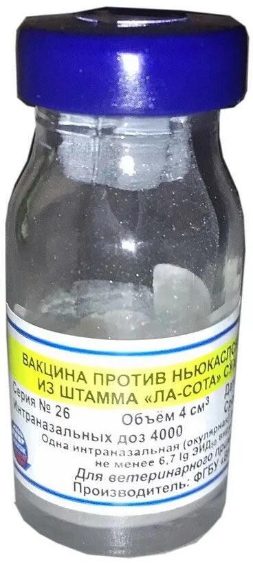 Вакцина против ньюкасла ла сота. Вакцина против инфекционного бронхита кур. Вакцина против ньюкасла ла сота. Штамм ла сота. Вакцина против ньюкасла ла-сота сухая.