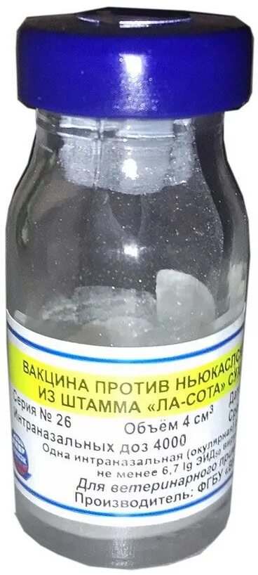 Вакцина против ньюкаслской. Вакцина против болезни Ньюкасла птиц ла-сота ВНИИЗЖ. Вакцина против Ньюкасла ла-сота сухая. Вакцина штамм "ла-сота". Вакцина против ньюкаслской болезни из штамма ла-сота сухая Живая.