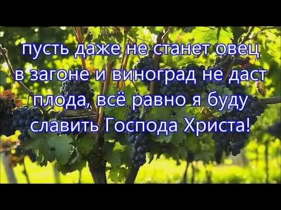 Так уж бывает летней. Так уж бывает летней