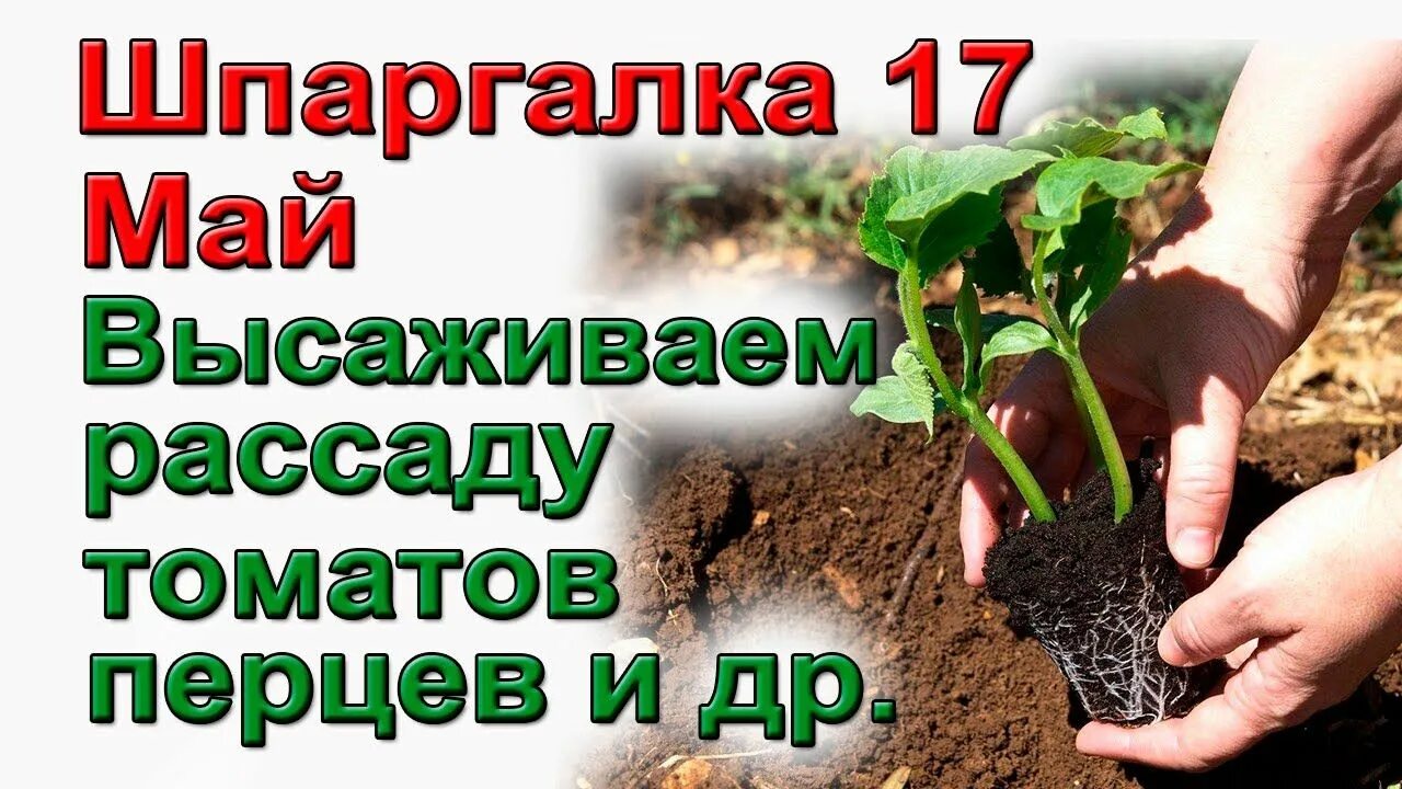 Набор «основы математики» 6 шт. Книжка шпаргалка по русскому языку. Шпаргалка 17. Шпаргалка книжка. Шпаргалка 17.