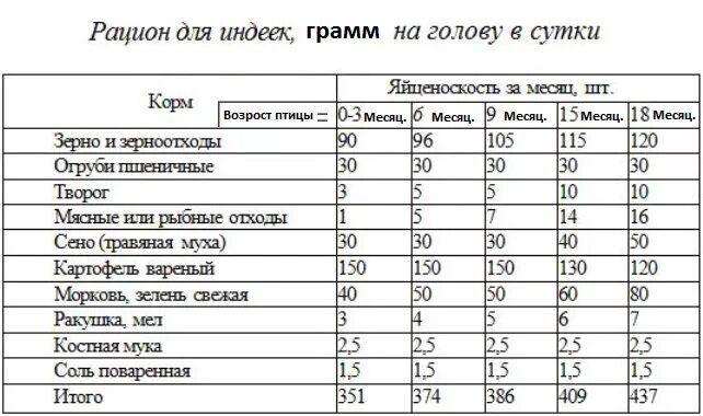 Можно ли кормить индюков. Таблица рациона питания для индюков. Рацион кормления индюков таблица. Рацион корма индюков. Рацион кормления индюков Биг 6 в домашних условиях.