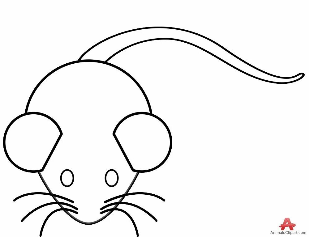 A mouse a small body