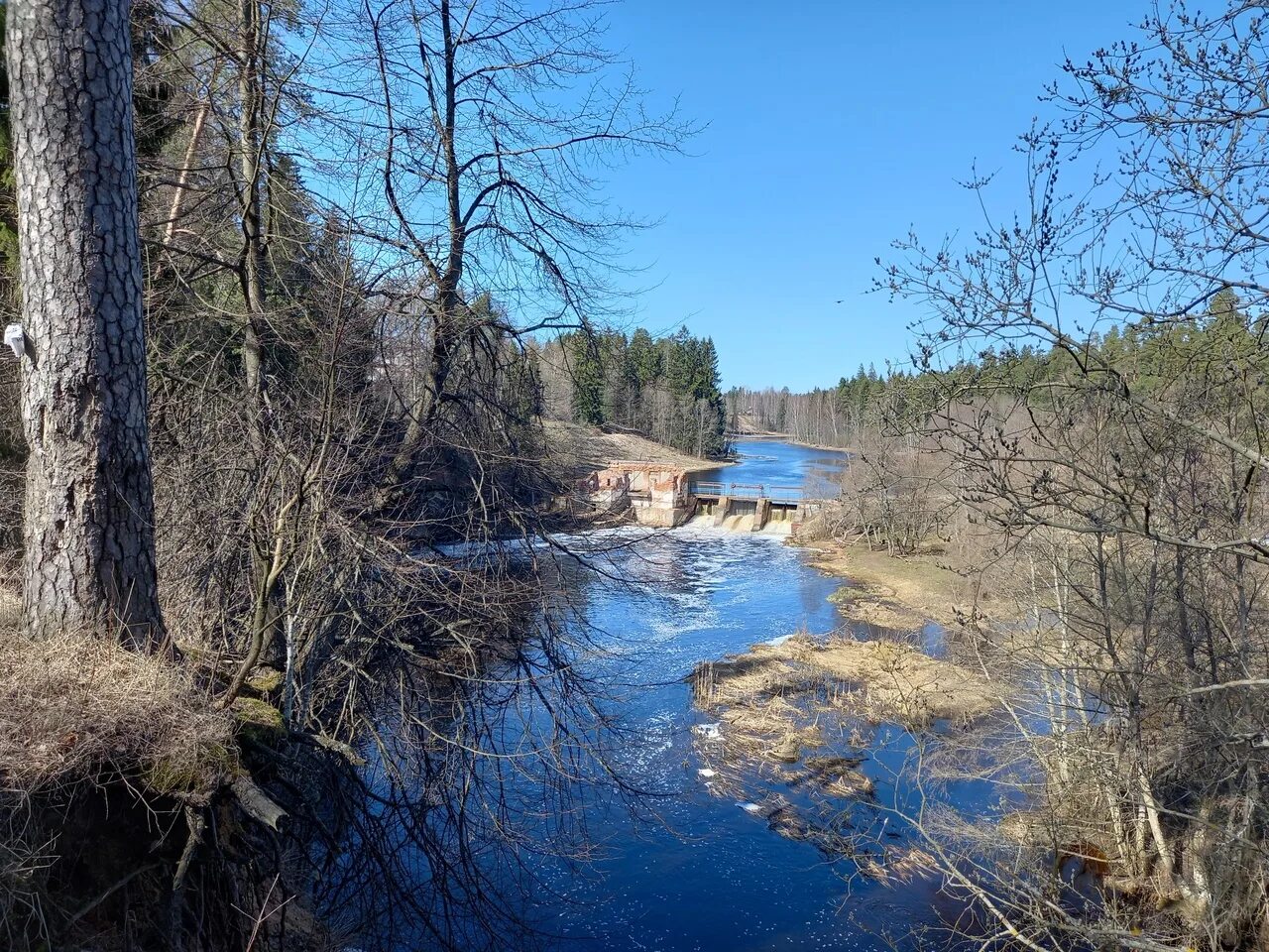 Прогноз погоды белогорка гатчинский. Белогорка сиверский. Погода в благовещенске. Белогорка оредеж. Погода в архангельске на сегодня.