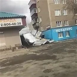 Погода карталы на 10