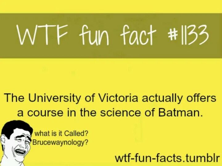 What is a fact. Funny facts. new facts.