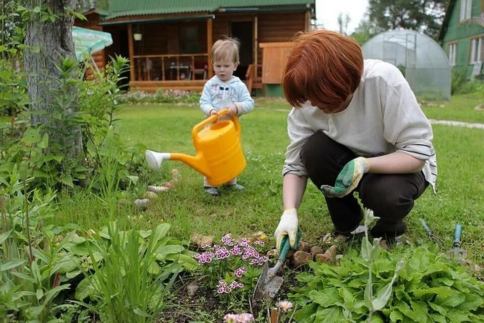 Работаем на дачном участке. Работа в саду. Огород весной. Огород летом. Садовод на участке.