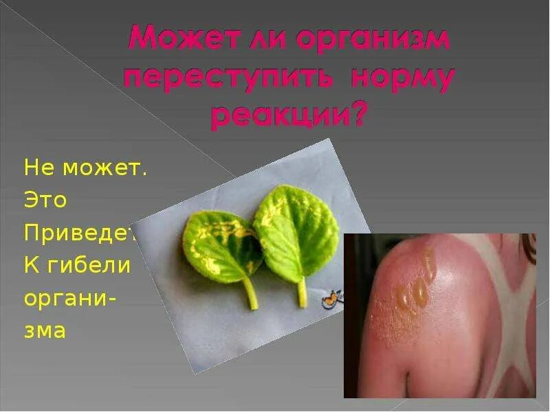Организм а это приводит к. Организм человека презентация. Системы органов организма человека. Человеческий организм. Организм а это приводит к.