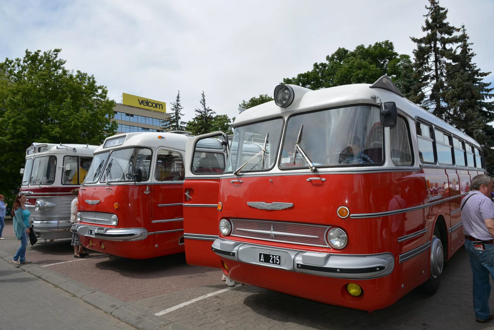 127 автобус минск. Зил 127. зис 127. икарус 55 и зис 127. икарус 55.