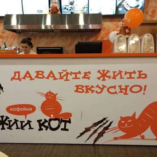 Кафе рыжий кот. Рыжекот череповец рыбинская 14. кофейня рыжий кот кольчугино. рыбинская 14 рыжий кот. рыжий кот череповец.