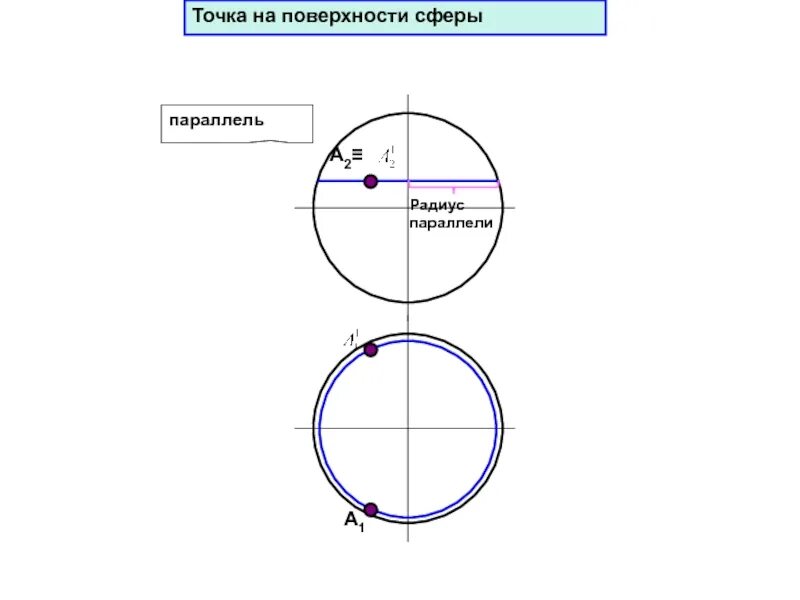 Точки на поверхностсферы. Точки на поверхности сферы. Поверхности сферы принадлежит точка. Точка а принадлежит поверхности сферы на чертеже.