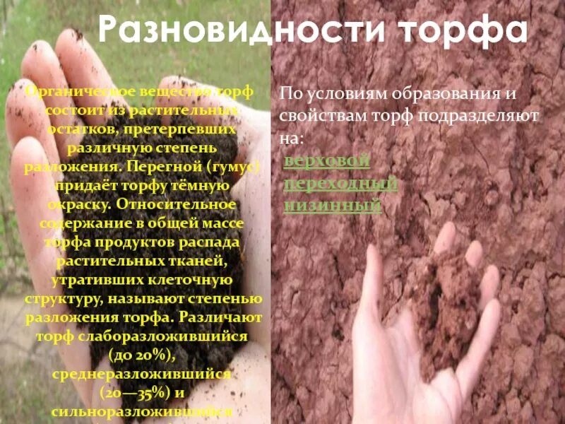 Торф свойства 4 класс окружающий мир. Торф. рассказ о торфе. вывод про торф. торф доклад.
