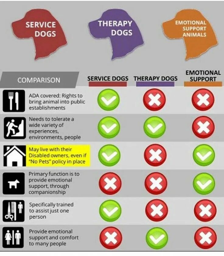 Support animals. Emotional support animal. emotion support dog. support animal. my emotional support dog.