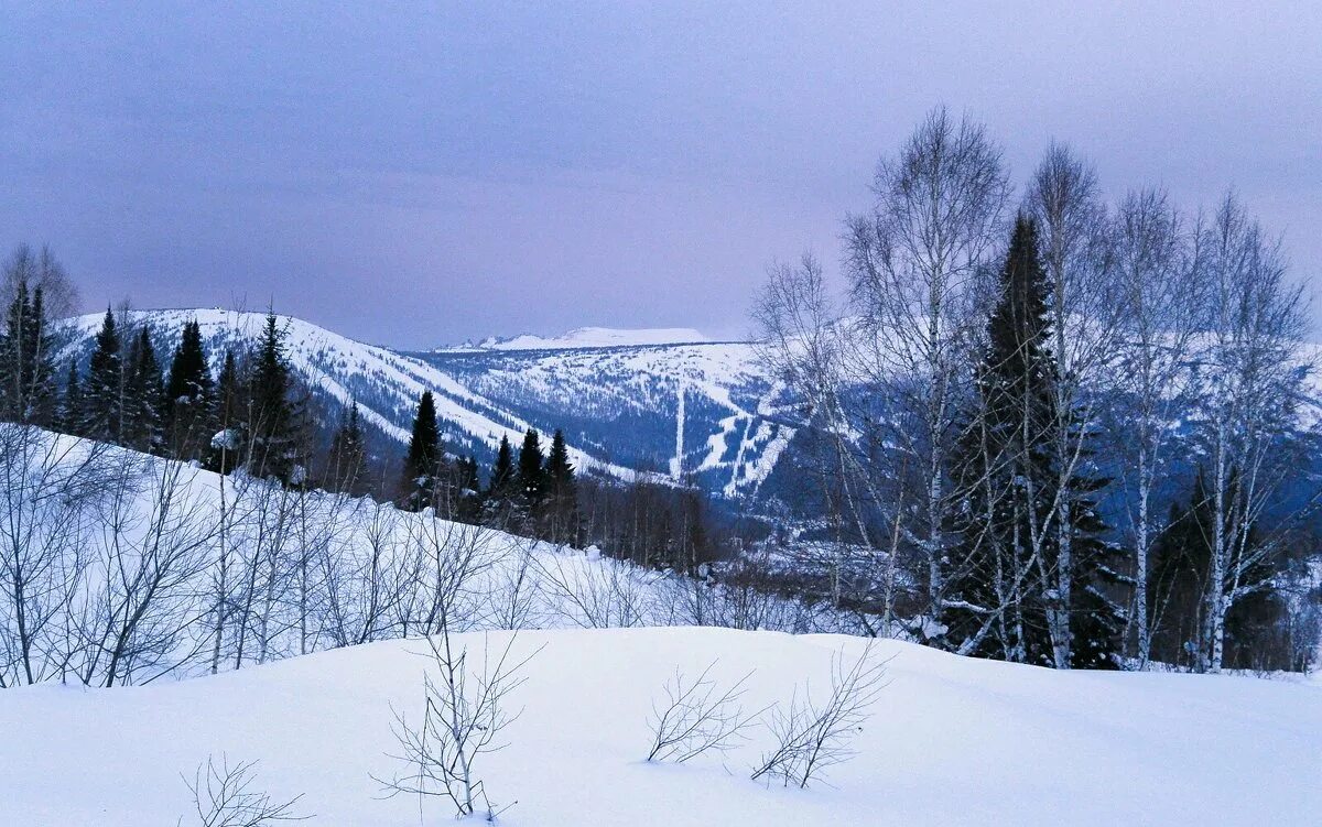 Зимний шерегеш. Горная Шория Шерегеш зимой. Кемеровская обл Горная Шория зимой. Горная Шория Таштагол. Тайга Шерегеш.