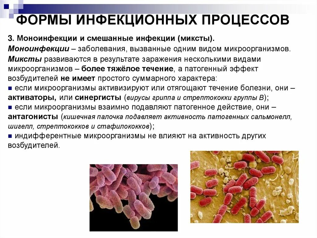 Инфекция инфекционные заболевания это заболевания вызванные. Формы инфекционного процесса носительство. Формы инфекционного процесса в инфекции это. Формы развития инфекционного процесса. Острая форма инфекционного процесса.