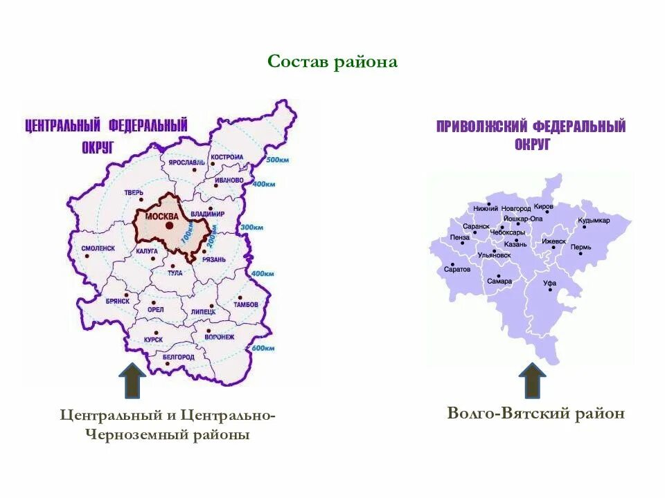 Центральная Россия районы на карте Центральный Волго Вятский. Районы центральной Росси на карте Волго Вятчкий. Границы центрального Черноземного района России. Районы России Волго Вятский Центрально Черноземный район. Площадь центрального района рф