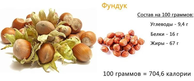 Орехи фундук калорийность на 100 грамм. Фундук орех БЖУ на 100 грамм. Орех Лесной фундук калорийность. Фундук КБЖУ на 100 грамм.