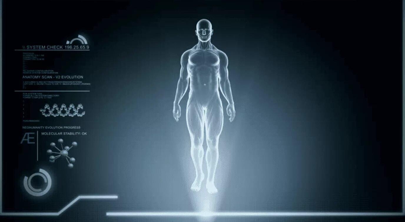 D a xray monolith. Сканер человека. Сканирование человеческого тела. Сканер тела человека. Тело интерфейса.