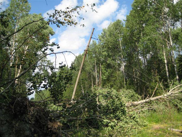 восток ленинградской области на карте. погода в волховском районе ленинградской. погода в волховском районе ленинградской.