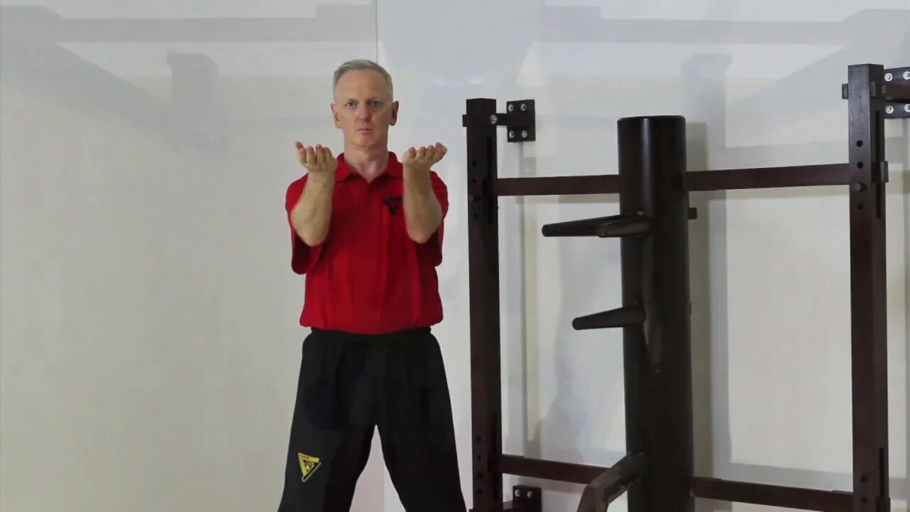 Sifu янь. Sifu платина. Sifu цзиньфэн. Sifu платина. Sifu костюмы.