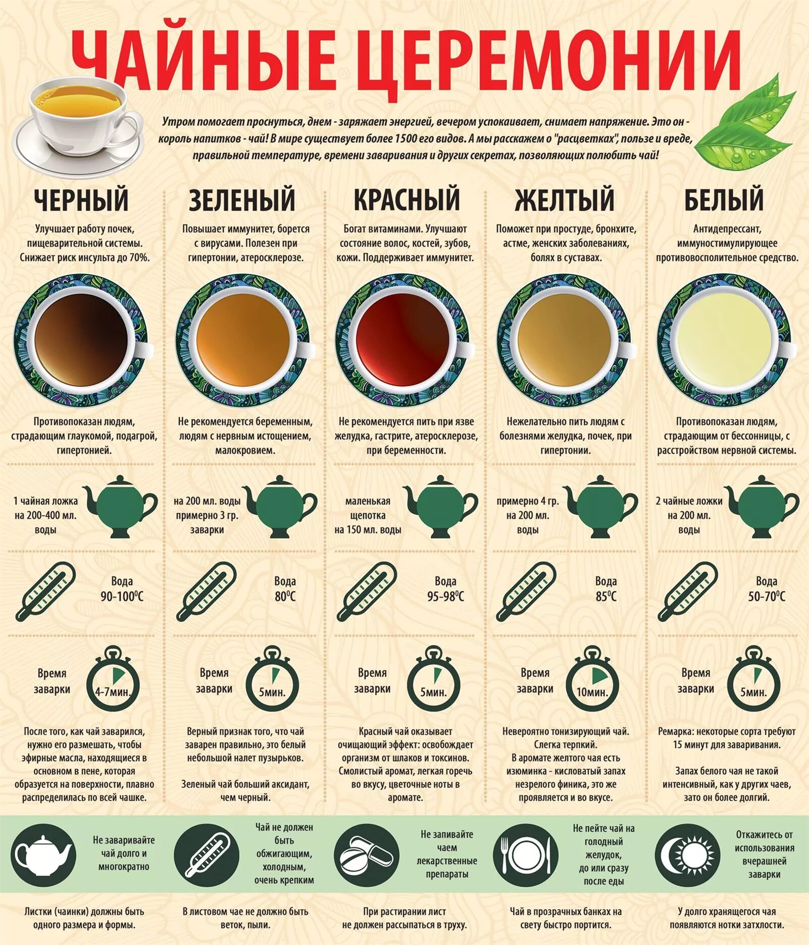 Кофе чай польза. Виды чая. Как правильно заваривать чай. Чача виды. Чай названия.