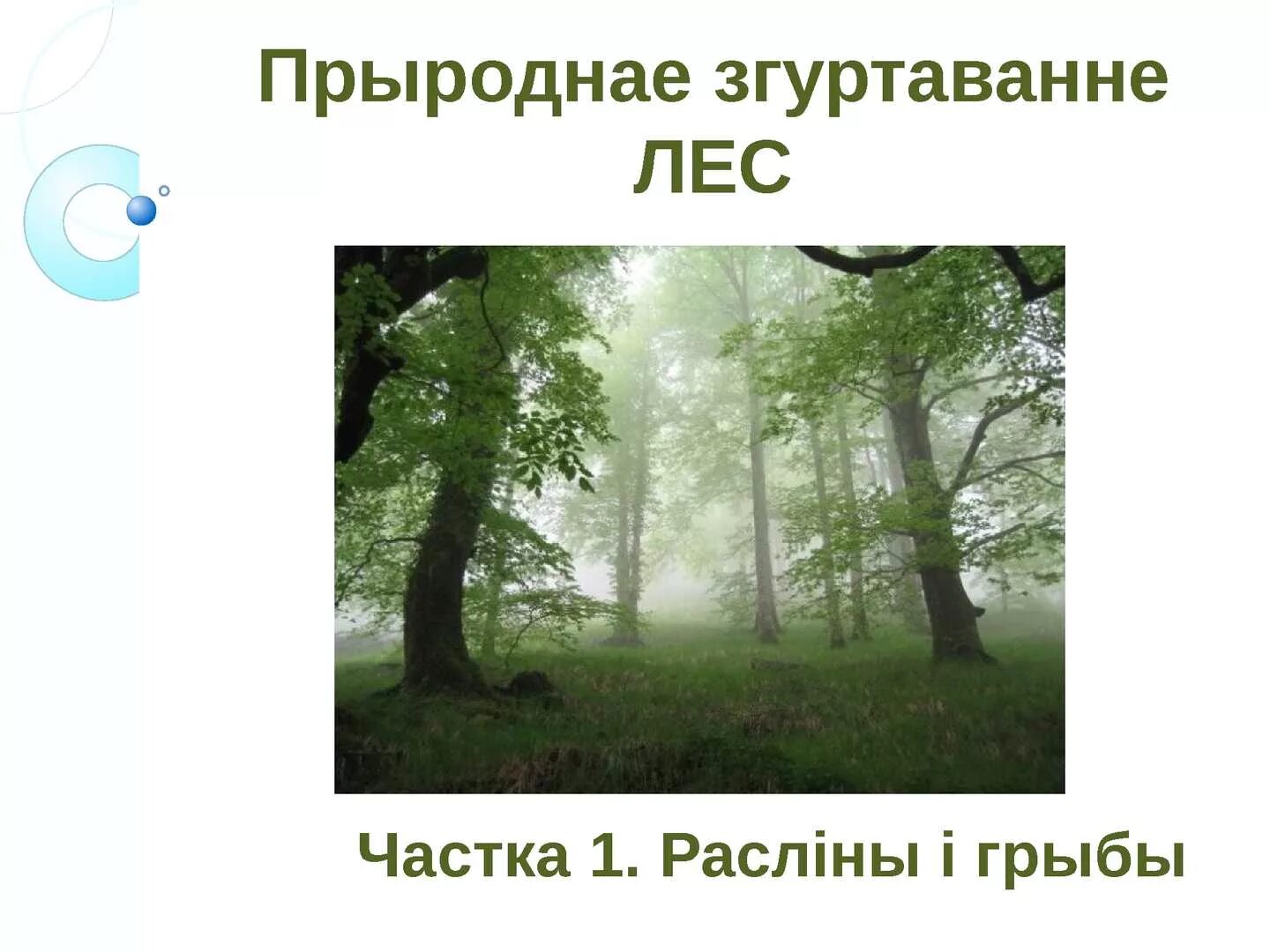 Природные сообщества родного края два три примера. Природные сообщества. Природное сообщество леса. Природное сообщество лес 4 класс. Лес природное сообщество 2 класс презентация.