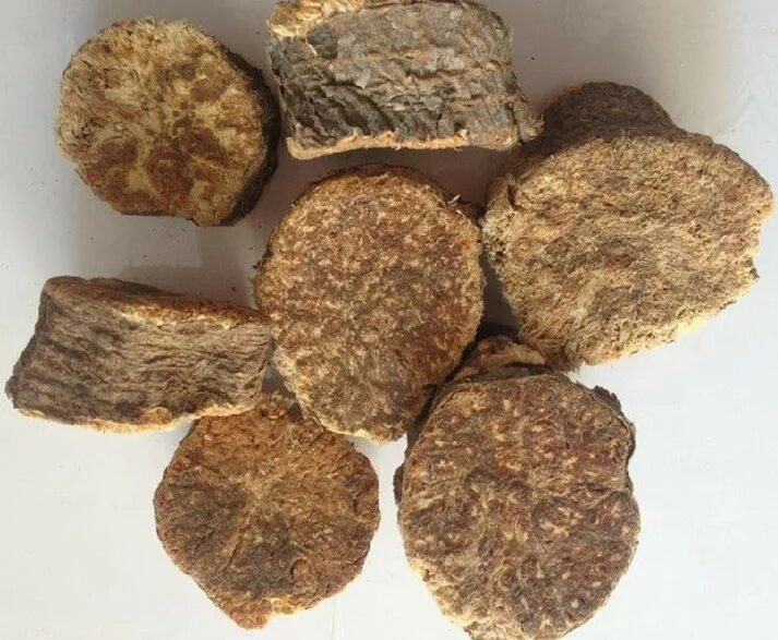 Raw root. Ферула асафетида корень. ферула сушеная. asafoetida raw. пория кокосовая волчья,.