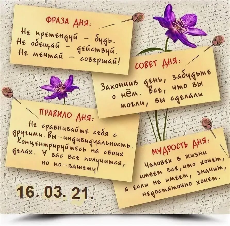 Мотивационные фразы. Цитата дня. Мотивационные фразы. Мотивирующие цитаты. Мотивационные цитаты.
