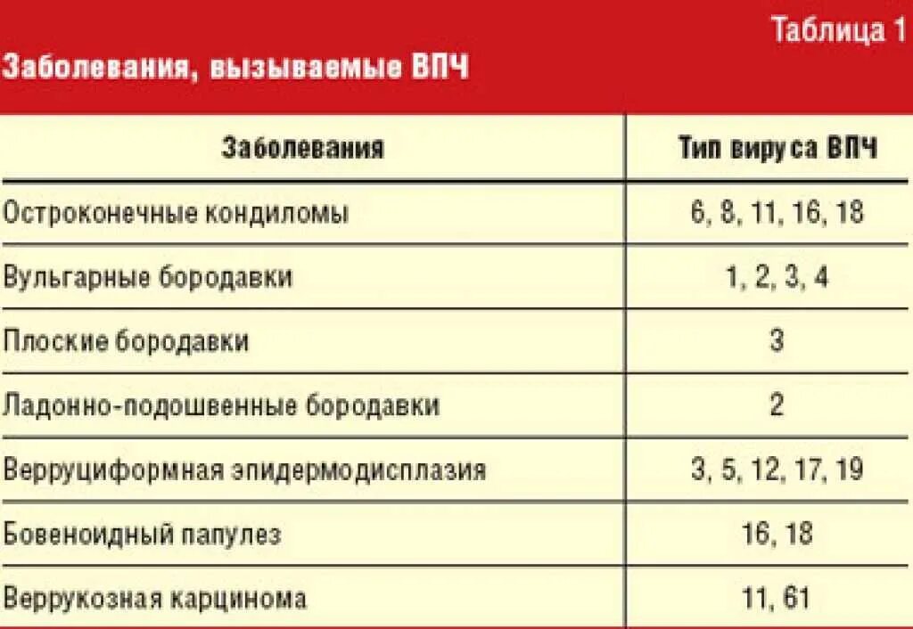 Вирус папилломы человека виды. Вирус папилломы 16 и 18 типа. Вирус папилломы человека 16 и 18 типа у женщин. Таблица вирус папилломы.