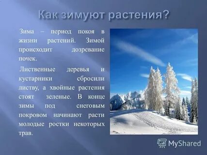 Зима это период