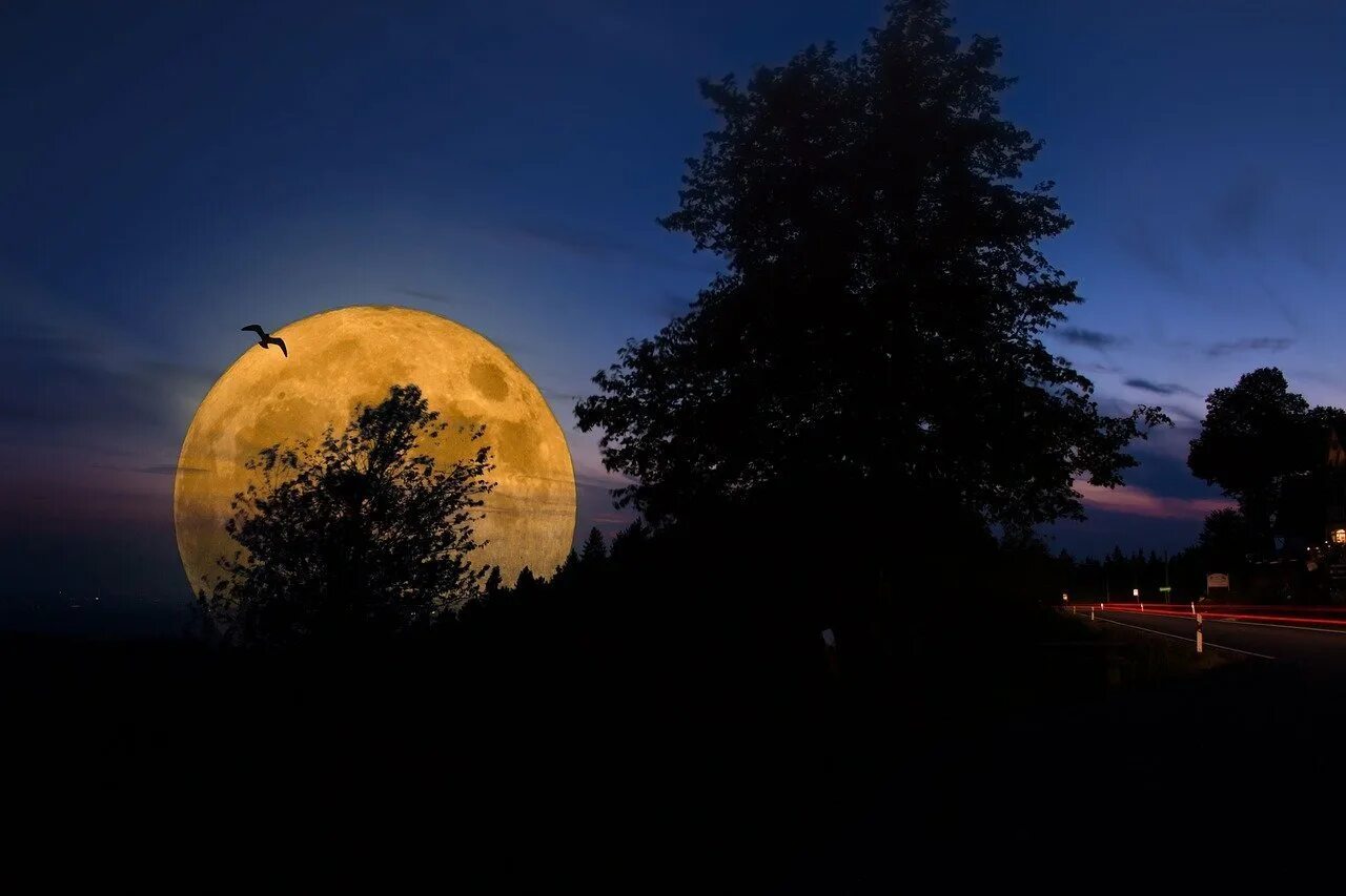 Луна картинки. Огромная Луна. Полнолуние. Красивая Луна. Ночь Луна.