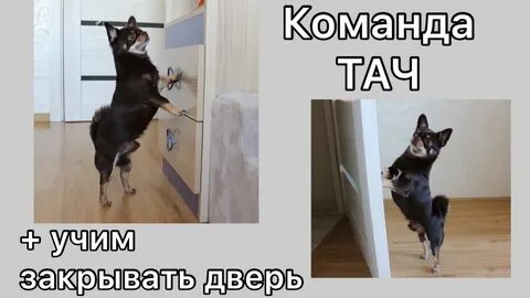 Команда touch