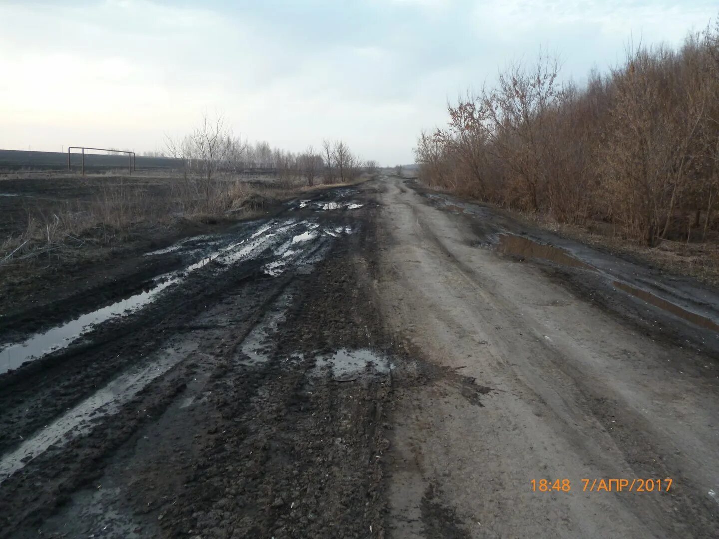 Село Рязанка Саратовская область. Саратовская область Турковский район село Перевесинка Михайловка. Студеновка Воскресенский район. Турковский район Саратовская область.