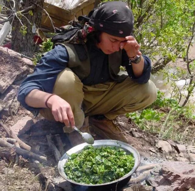 Pkk search