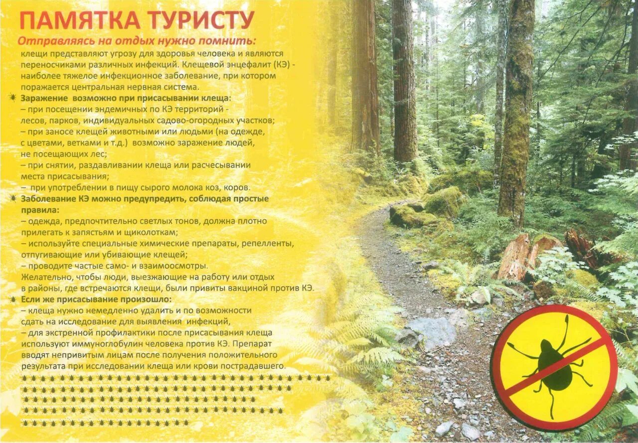 Правила безопасности путешественника 3. Памятка туристу. Памятка путешественника. Памятка безопасность туризма. Составление памятки туриста.