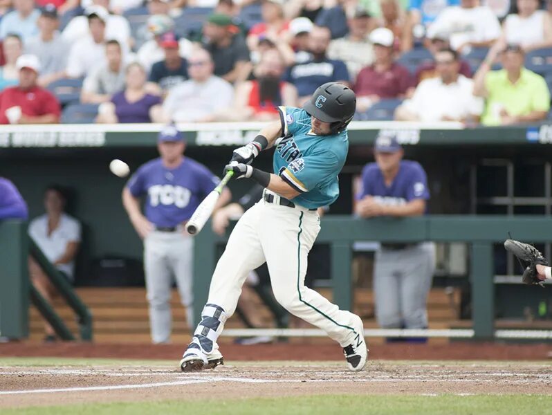 Бейсбол популярен. Catfish South Carolina Baseball.