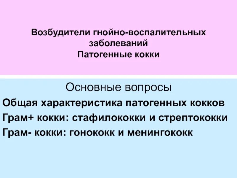 Патогенные мо. Патогенные кокки микробиология. Патогенные кокки. Патогенные кокки. Грамположительные кокки микробиология.