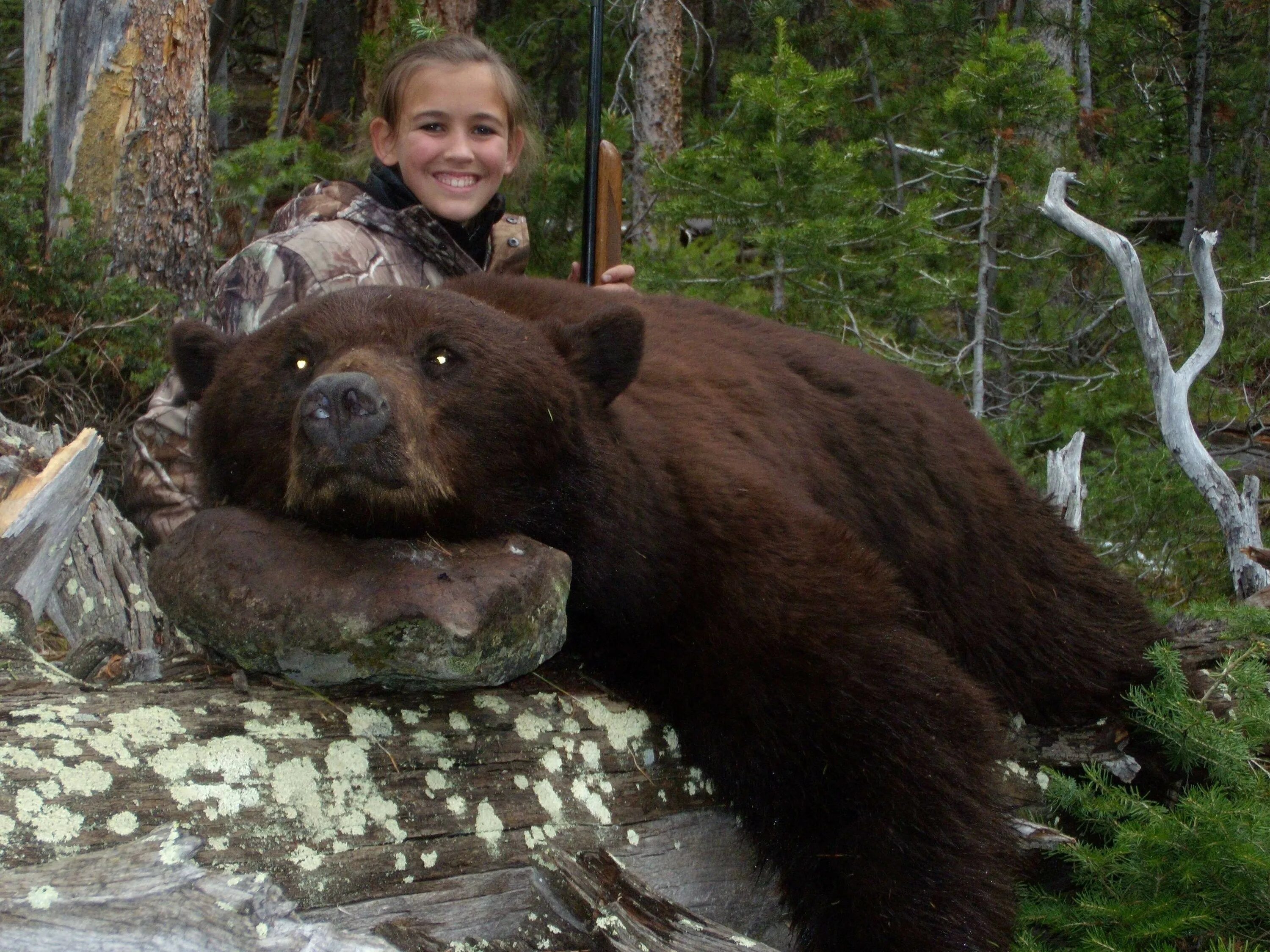 Какие медведи крупнее. Медведь Кадьяк самый большой в мире. Самый большой бурый медведь в мире. Медведь Гризли огромный.