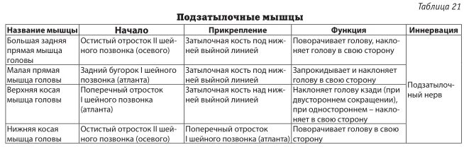 Начало прикрепление функции мышц. Подзатылочные мышцы функции. Подзатылочные мышцы таблица. Подзатылочные мышцы шеи функции. Мышцы спины и подзатылочные мышцы таблица.