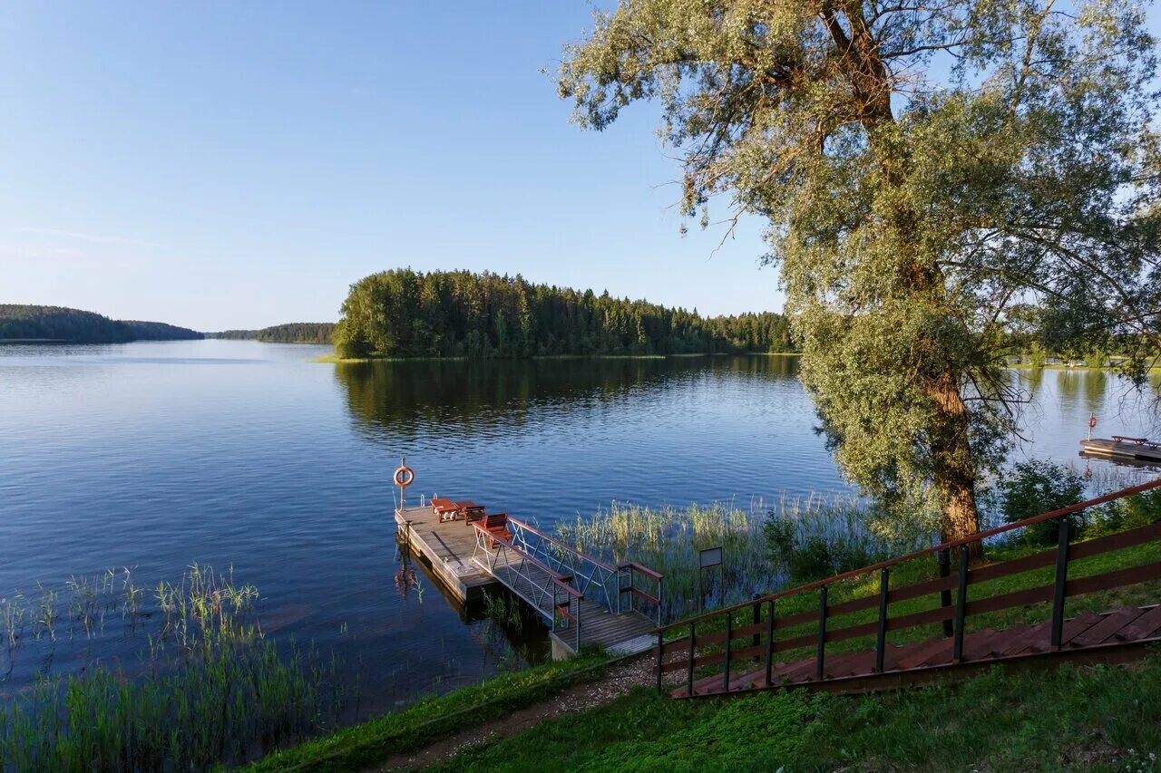 Валдай поселок Рощино. Валдай Новгородская область. Озеро Рощино Валдайский район. Валдай поселок Рощино дом отдыха Валдай.