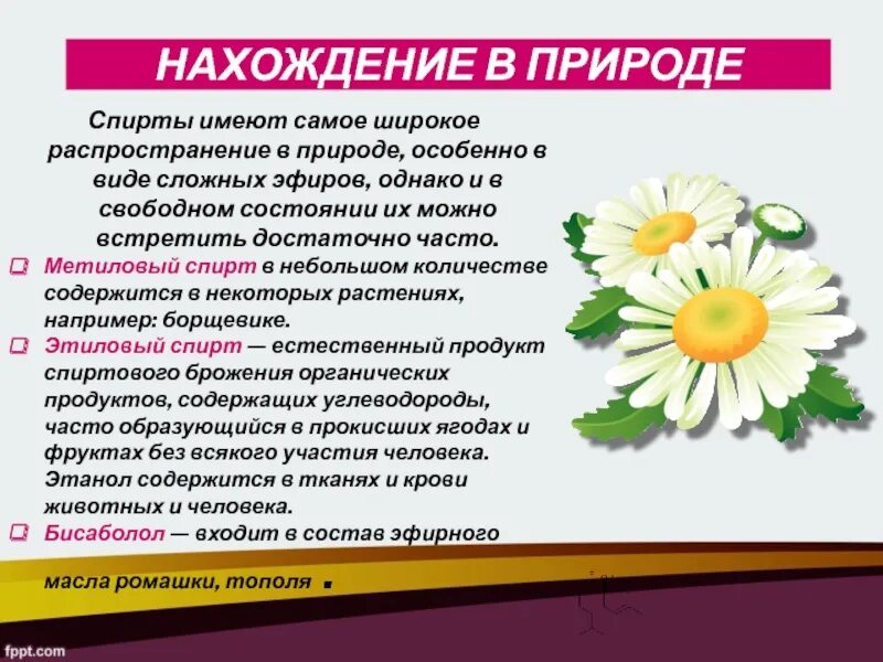 Для текста характерно широкое распространение. Нахождение в природе спиртов. Этанол нахождение в природе. Распространение спиртов в природе.