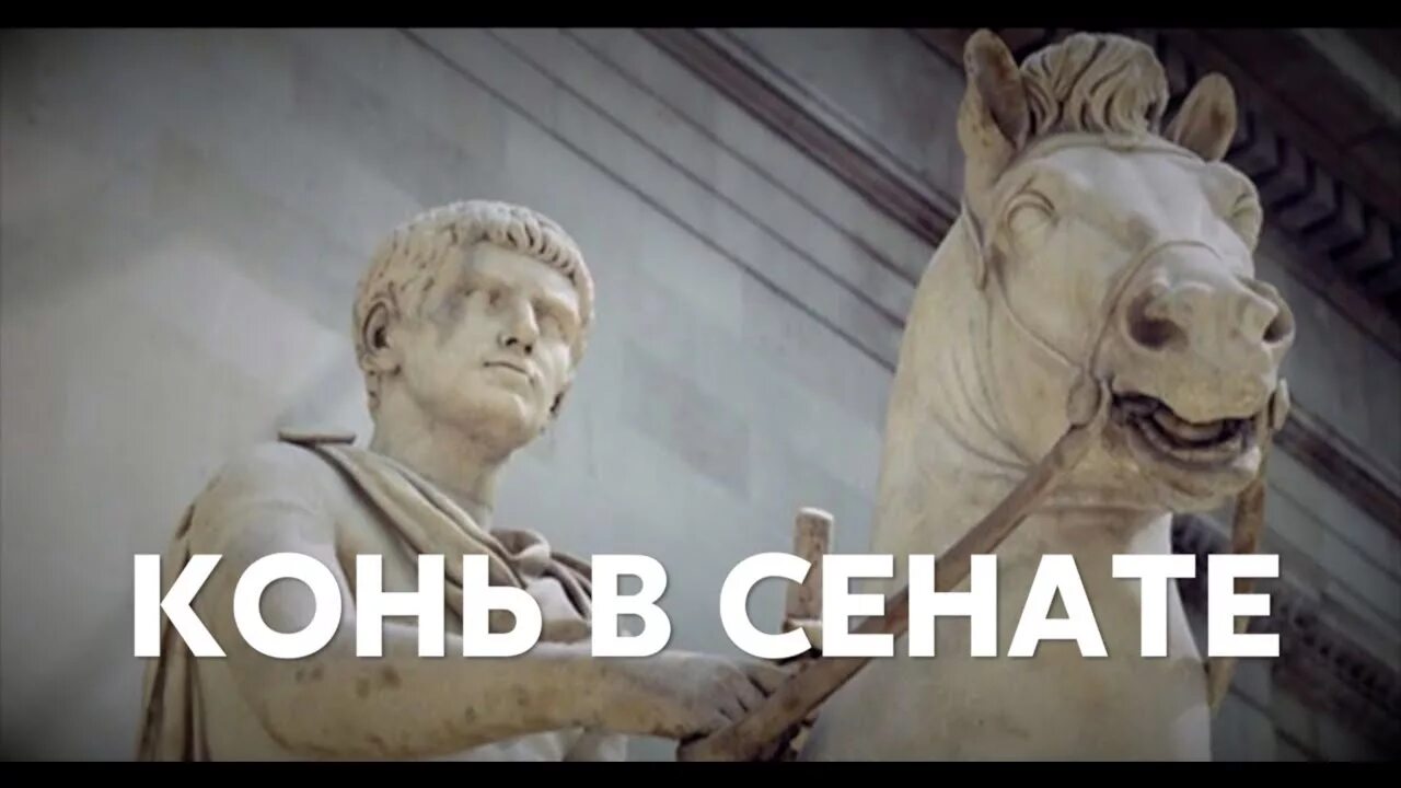 Калигула конь сенатор. Калигула в сенате. Лошадь сенатор в риме. Калигула конь сенатор. Калигула конь сенатор.